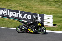 Lower Group Black Bikes